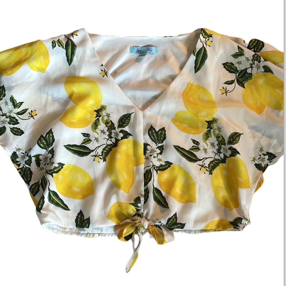 She + Sky Lemons Top! 172 - Picture 1 of 8